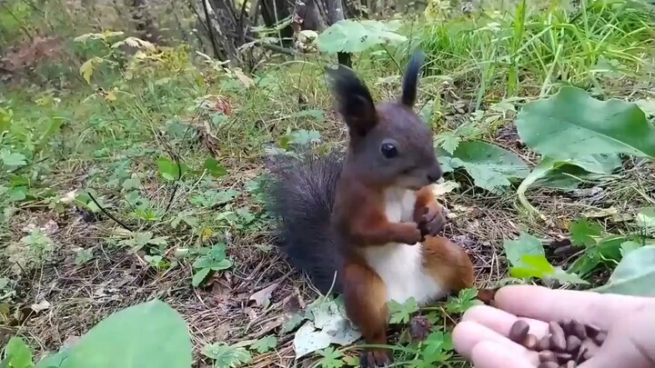 ความสุขมาแบบกะทันหันเกินไป มันดูเหมือนจะทำตัวไม่ถูก