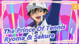 [The Prince Of Tennis] [Ryoma & Sakura] Come Back_2