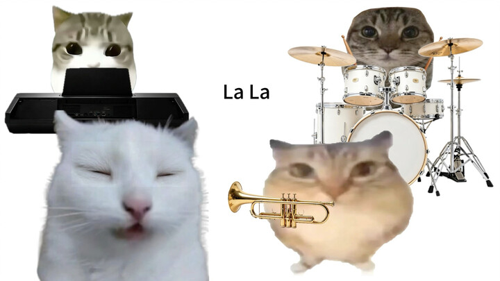 Four cats are singing and playing musical instruments.