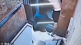 Security guard: "My salary is 180,000 yuan"