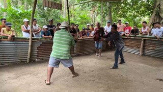 Sabong Pinas Butcher