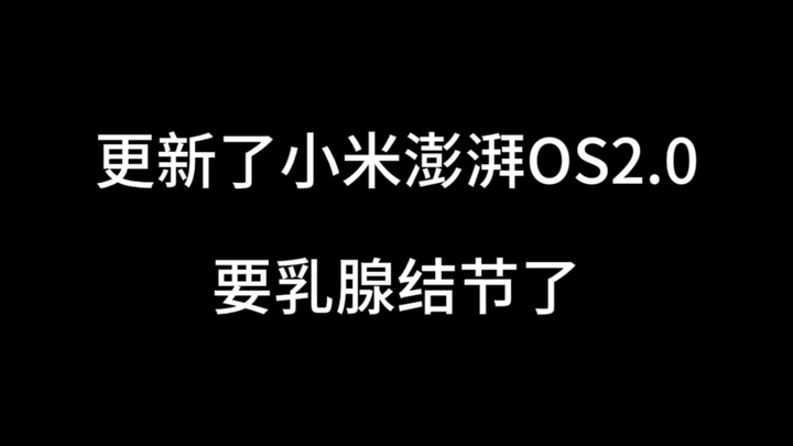 Updated to Xiaomi HyperOS 2.0—my breast nodules are going to flare up!