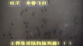 蛛天帝，一网断万古😎