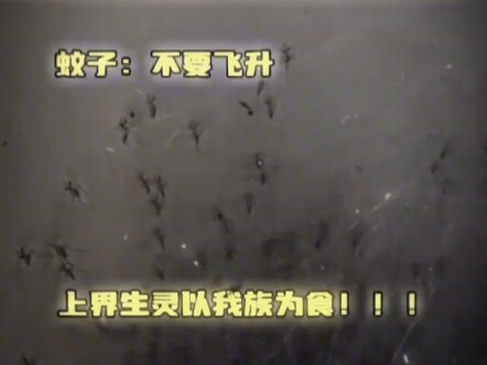 蛛天帝，一网断万古😎