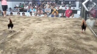 comando gamefarm