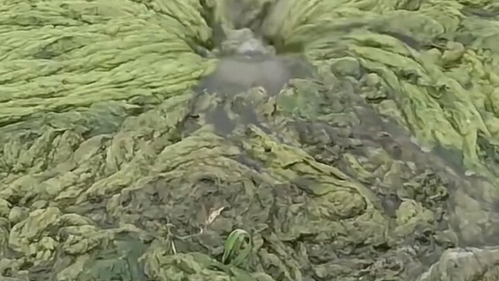 What kind of pipe is this? It’s not even plugged!