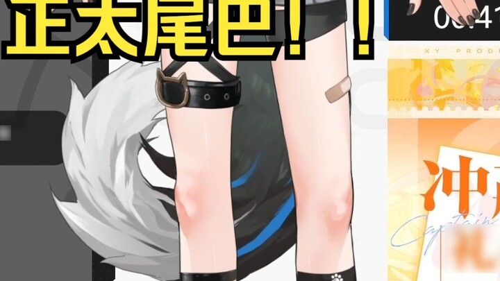 Hãy đến đuôi của Rua Shota...