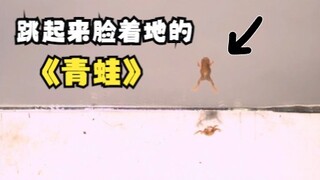 Một con ếch nhảy và đáp xuống mặt đất