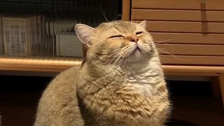 “ 特 困 生 ”