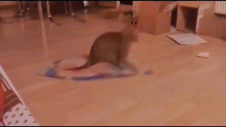 เรียบร้อยเกินไป ฉันไม่ชอบเลย