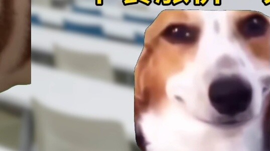 【Cat Sister me】ผลงานล่าสุดของฉัน มาดูกันเถอะ!