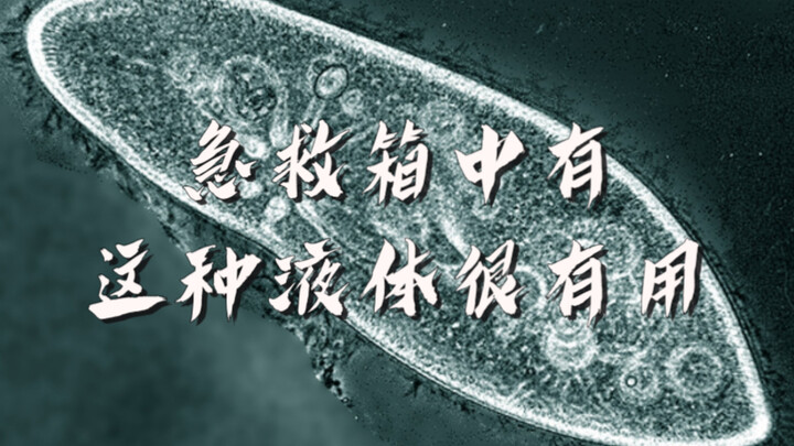 This kind of liquid in the first-aid kit is super useful!