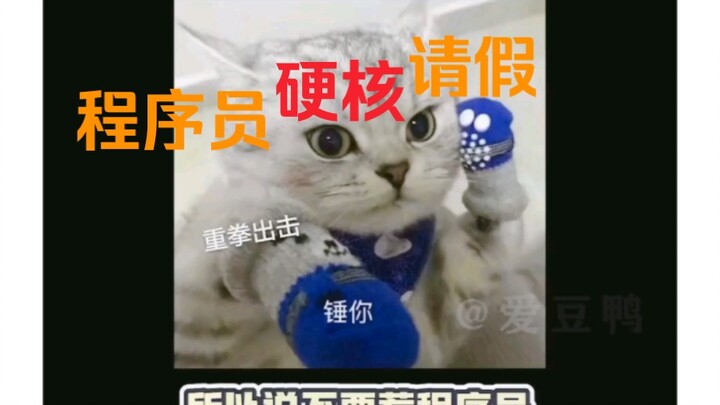 Lập trình viên xin nghỉ việc cực chất