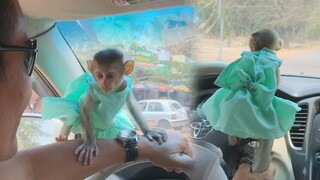 First Time For Princes Maya Hangout With Family To Visit Cashew Farm