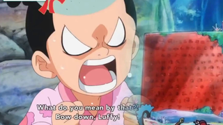 One Piece 1014 Momonosuke nghe thấy Road Poneglyph Uranus thức tỉnh p4