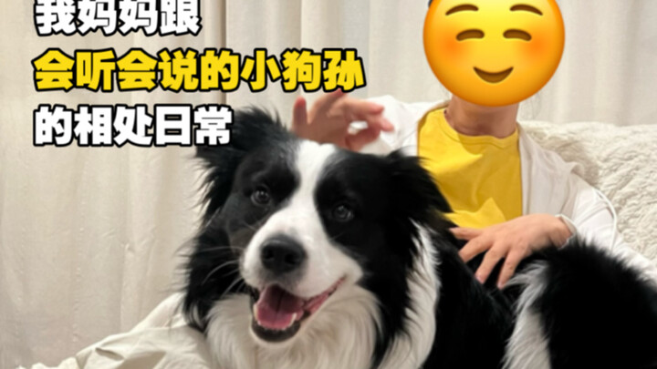 Setelah berinteraksi dengan anak anjing, ibuku jadi lebih mengerti kenapa aku tidak ingin punya anak