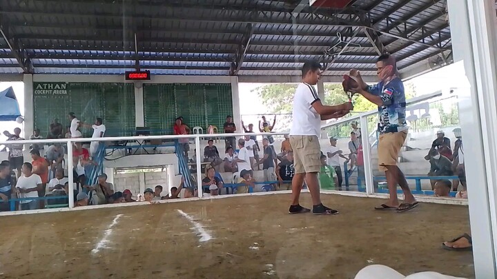 mistisong pula vs binabae : pangatlo na si pula