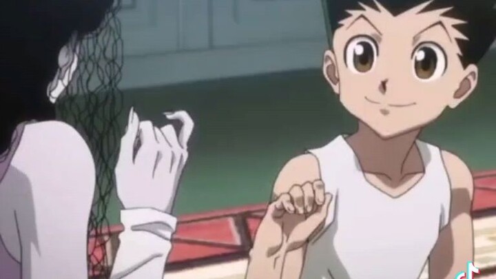 hunter x hunter