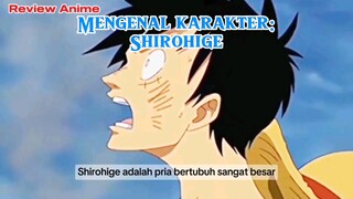 Siapa Shirohige? yuk kita bahas