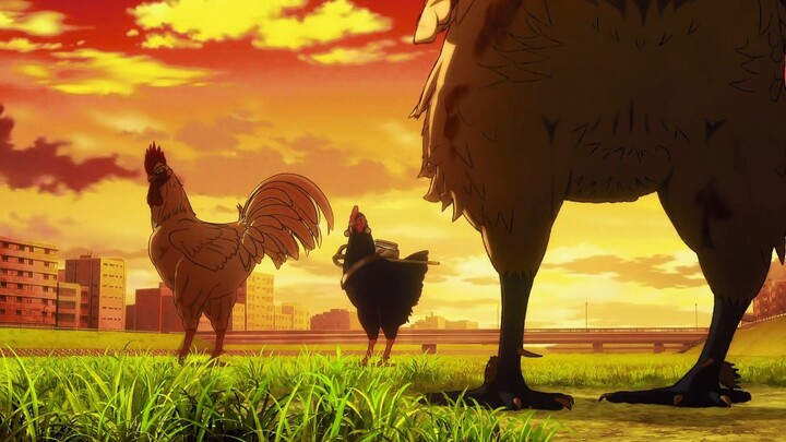 Niwatori Fighter episode 7 Sub Indo | REACTION