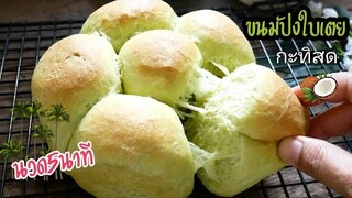 ขนมปังใบเตยกะทิสด นวดแค่ 5 นาที เนื้อฟูนุ่ม Pandan and Coconut Milk Bread|Easy Bread|Bread Recipe