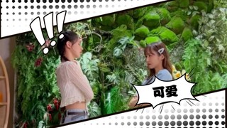 多位明星应援QueencardChallenge很火