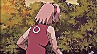 sakura🔥🔥🔥🔥🔥