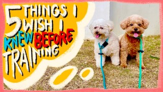 5 Things I Wish I Knew Before Training My Dogs| Reality of Dog Training | The Poodle Mom