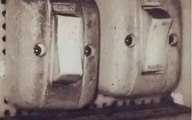 A Caring Gaze for People with Intellectual Disabilities