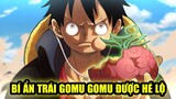 [One Piece 1037+] Trái Gomu & Âm Mưu Của Ngũ Lão Tinh? Bí Ẩn Trái Gomu Dần Được Hé Lộ?