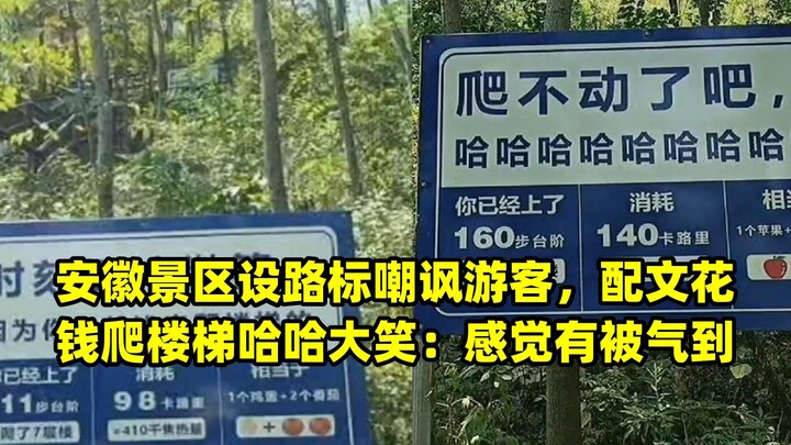 安徽景区设路标嘲讽游客，配文花钱爬楼梯哈哈大笑：感觉有被气到