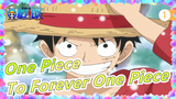 [One Piece] For Partners, For Dream! To Forever One Piece_1