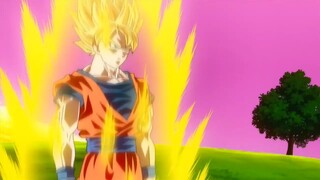 SSJ3 Goku vs. Beerus