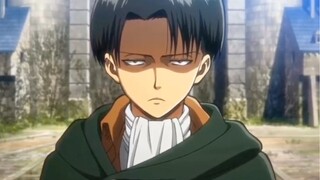 Levi (AOT) Lườm cháy con mắt 🤣