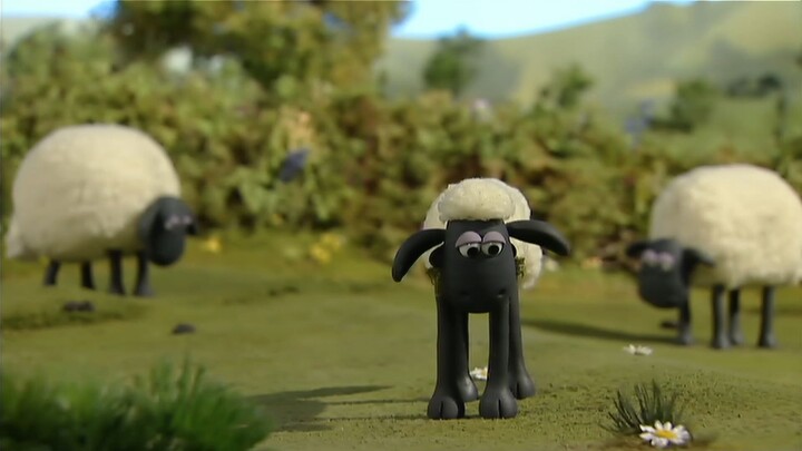 Những Chú Cừu Thông Minh 1 #35