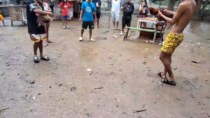 wala ng magawa sabuhay tamang tupada muma tayo 👌