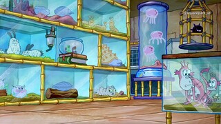 Spongebob Squarepants - Pet The Rock