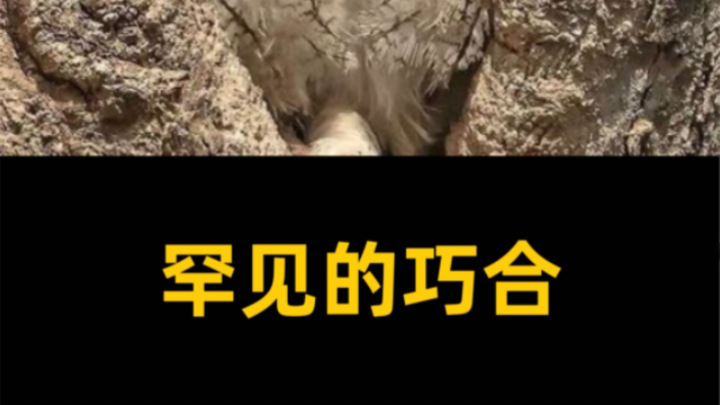 ความบังเอิญที่หาได้ยาก