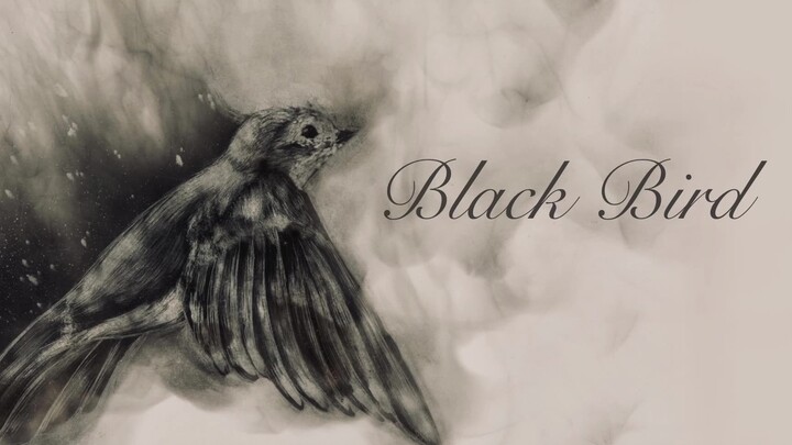 【パンツ】Black Bird / ぼくのりりっくのぼうよみ (short.ver)
