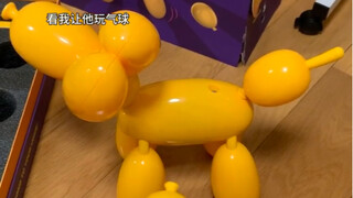 养电子小狗 过赛博人生