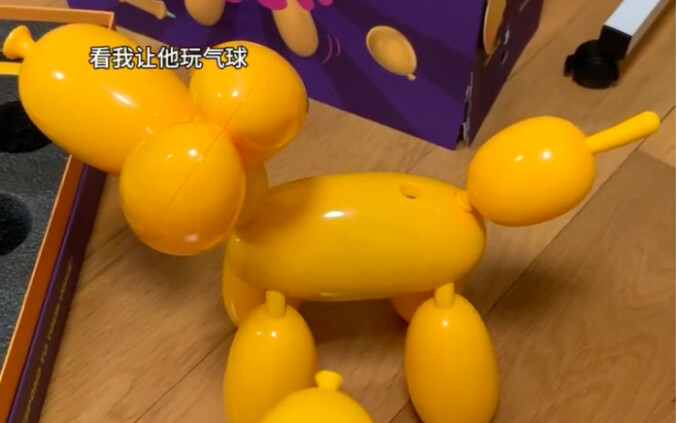 Memelihara anjing kecil elektronik, menjalani kehidupan siber