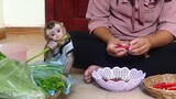 So funny Baby Monkey Maki not help cut vegetables his Mom But He help to eat