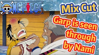 [ONE PIECE]   Mix cut |  Garp is seen through by Nami