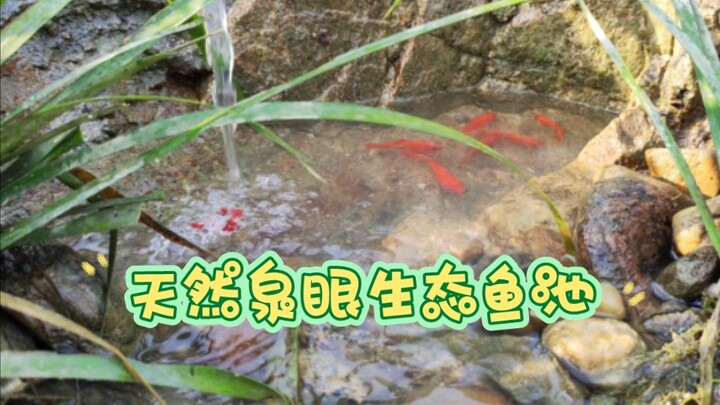 Electric Jackhammer for Breaking Rocks & Digging a Fish Pond: A Super Beginner-Friendly “Just Mess A