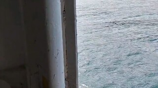 Pulang setelah jalan jalan