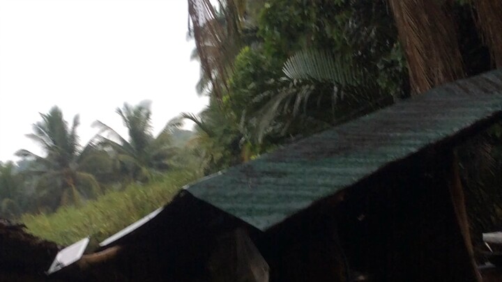 Ang ulan dito sa samar