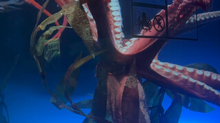 The Giant Octopus at the Toronto Aquarium