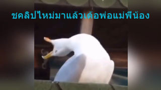 ชคลิปไหม่มาแล้วเด้อพ่อแม่พี่น้อง