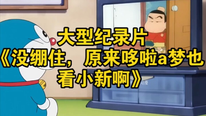 Major documentary “I Burst Out Laughing—Turns Out Doraemon Watches Shin-chan Too”