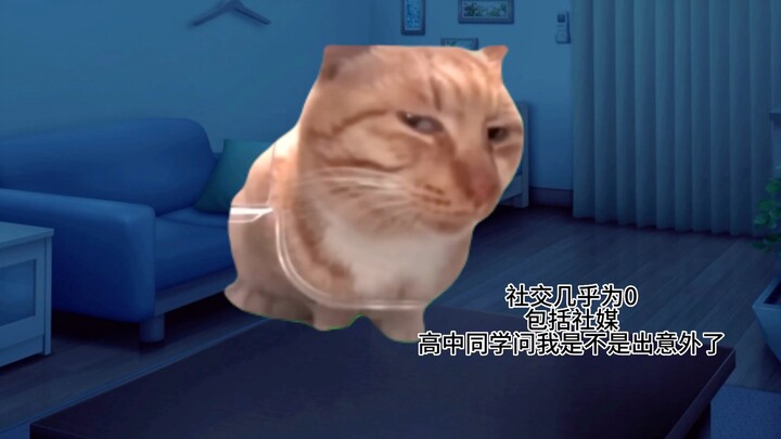 [19-24] Mèo 5 năm ở nhà phiên bản meme